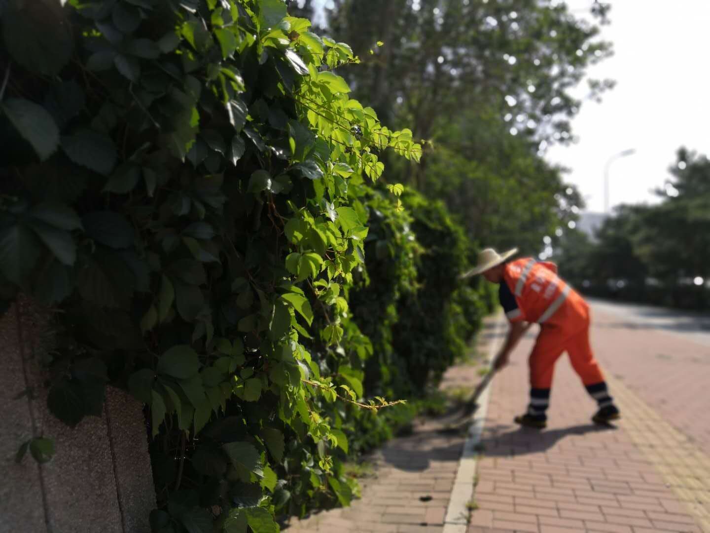 地产绿化工程