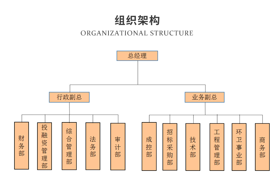 组织架构